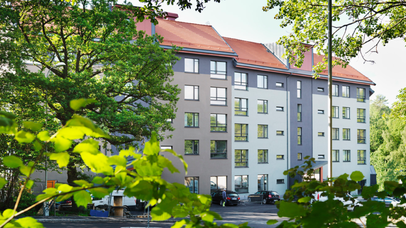 Åkerviolen exteriör