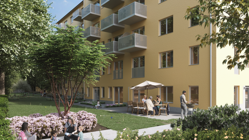 Sköterskan vision